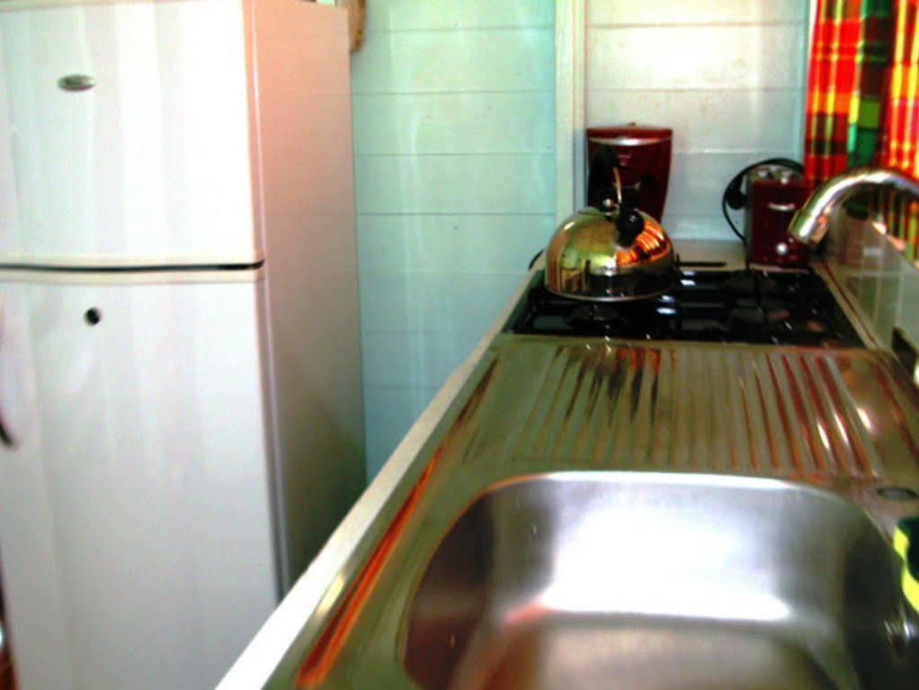 Chez Ophelia Cottage Apartments Roseau Kültér fotó
